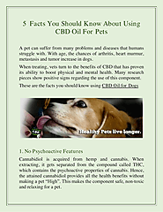5 Facts You Should Know About Using CBD Oil For Pets