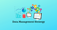 Best Data Management Strategy agency in the USA