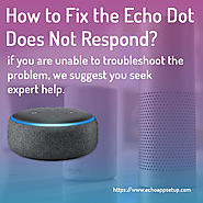 How to Fix the Echo Dot Does Not Respond? - amazonechoapp