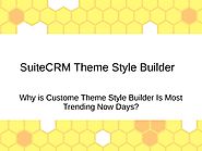 Custom Theme Style Builder Without Coding in SuiteCRM by OutRight Store - Issuu