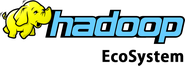 Understand Hadoop and Its Ecosystem
