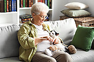 A Complete to Having a Pet in Assisted Living Apartments