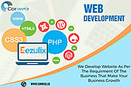 Web Development Company in Lahore - Google Search