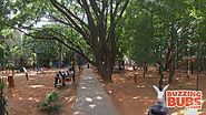 Defence Colony Park, Indira Nagar