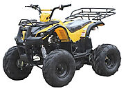 Tips To Remember While Enjoying A 4-Wheeler ATV Ride