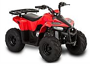 4 Wheelers All-Terrain Vehicles are Popular Among Outdoor Enthusiasts of All Ages