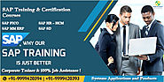 SAP Finance and Controlling (FICO) Certification Practical Training Course - lead a successful career in accounting