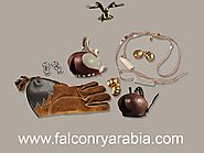 Falconry: Equipment Required to Get Started