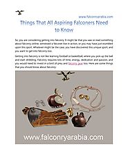 Things That All Aspiring Falconers Need to Know