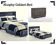 Sagebrush Murphy Cabinet Bed