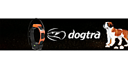 Dogtra - Vivolist.com