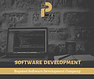 Custom Software Development is the best option for Business Growth