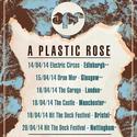 A Plastic Rose (@aplasticrose)