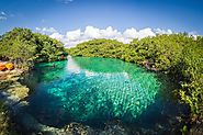 Conéctate con la mejor experiencia de buceo en Tulum, perfecta para los novatos