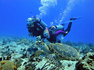 HOW WELL ARE YOU PREPARED FOR YOUR SCUBA DIVING TRIP?