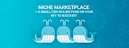 Niche Online Marketplaces - Why you need to find your niche?