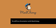 Beginner’s Guide to How to Create a Newsletter with Mailchimp