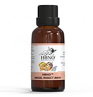 Shop HBNO™ Angel Insect Away Oil in Bulk from Essential Natural Oils
