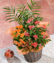 Autumn Flower Basket | Flower Basket Delivery | Bunches.co.uk