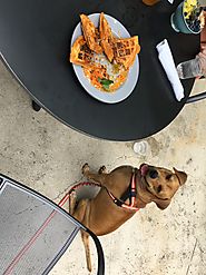 Dog Friendly Restaurants in San Antonio, Hold the Bars