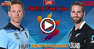 New Zealand Vs England ICC CWC2019 Final - Eng vs NZ World Cup 2019 Final Live Streaming PTV Sports Online - Free APK...