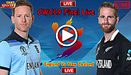 New Zealand Vs England ICC CWC2019 Final - Eng Vs NZ World Cup 2019 Final Live Streaming PTV Sports Online - Cricket ...