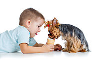 Human foods You can Share With Your Dog | Sam Ivy's Dog Blog