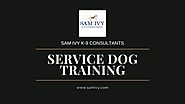In Home Service Dog and Therapy Dog training In Fort Lauderdale