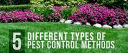 5 Different Types of Pest Control Methods