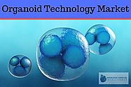 North America Holds Significant Share of Global Organoid Technology Market