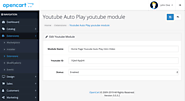 Youtube video to show with autoplay, Free Opencart module or extensions