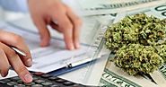 How to Frame the Perfect Plan for Cannabis Business?