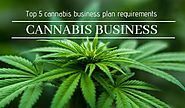 Top 5 Cannabis Business Plan Requirements