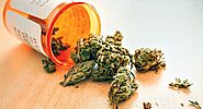 Medical Marijuana Market Continues to Grow at Pace