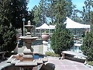 Windsor Lodge Ranikhet | Best Hotel Near Nainital