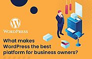 What Makes WordPress The Best Platform for Business Owners?