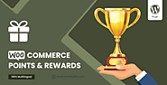 Bravo - WooCommerce Points and Rewards - WPWeb