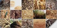Biomass Briquetting Plant -Plant For the better Future