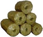 From Guest Blogger Deepi Makwana: Biomass Briquettes - Substitute To Fossil Fuels