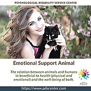 A love bond between humans and emotional support animals | ESA Letter - PDSC
