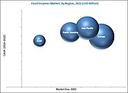 Feed Enzymes Market Size, Trends, Forecast - 2022