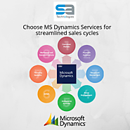 MS Dynamics Services