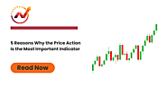 5 Powerful Reasons Why Price Action Is the Most Reliable Trading Indicator | NTA®