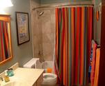 Some Tips for Choosing a Great Shower Curtain