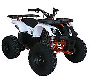 ATVs Are The Ultimate Off-Road Machines On Four Wheels - Arlington Power Sports