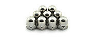 Dome Nuts manufacturers in India -Sachiya Steel International