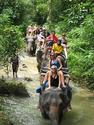 Jungle Safari Khao Sok one day tour