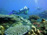 OPEN WATER DIVER COURSE Racha Yai by big boat x 2 Days (incl. manual and certification)