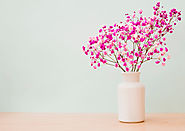 Steps for arranging flowers in a vase | FLOWER GUIDE