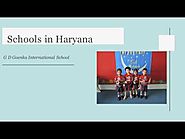 Top Schools in Haryana & Sonepat